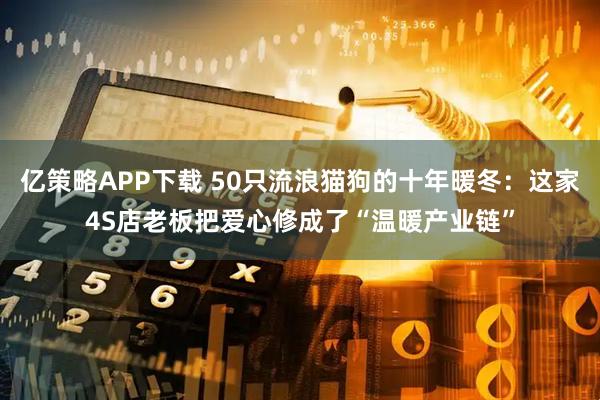 亿策略APP下载 50只流浪猫狗的十年暖冬：这家4S店老板把爱心修成了“温暖产业链”