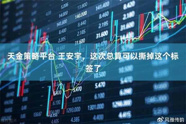 天金策略平台 王安宇，这次总算可以撕掉这个标签了