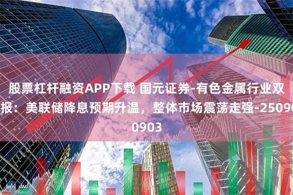 股票杠杆融资APP下载 国元证券-有色金属行业双周报:美联储降息预期升温,整体市场震荡走强-250903